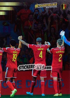 Sticker Belgium team photo - 7 - #Tousensemble Road to France 2016 n. 115 - Panini