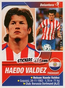 Cromo Nelson Haedo Valdez - Copa América. Venezuela 2007 - Navarrete