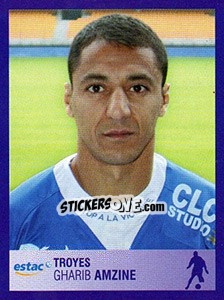Sticker Gharib Amzine - FOOT 2005-2006 n. 463 - Panini