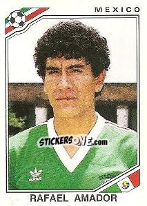 Cromo Rafael Amador - FIFA World Cup Mexico 1986 - Panini