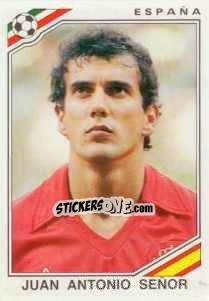 Sticker Juan Antonio Senor - FIFA World Cup Mexico 1986 - Panini