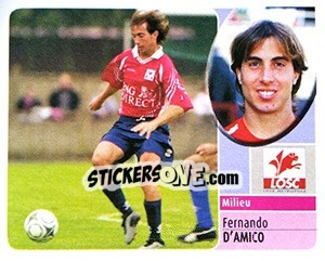 Cromo Fernando D'Amico - FOOT 2002-2003 - Panini