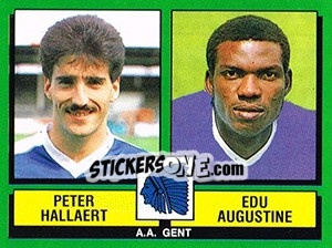 Sticker Peter Hallaert / Edu Augustine - Football Belgium 1988-1989 - Panini