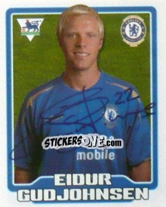 Cromo Eidur Gudjohnsen - Premier League Inglese 2005-2006 - Merlin