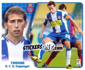 Cromo Tamudo - Liga Spagnola 2005-2006 n. 217 - Colecciones ESTE