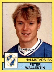 Figurina Peter Wallentin - Fotboll 91. Allsvenskan och Division 1 n. 120 - Panini