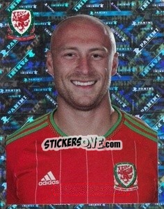 Cromo David Cotterill - Wales. We'Re Going To France! - Panini