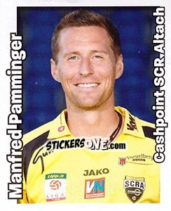 Cromo Manfred Pamminger - Österreichische Fußball-Bundesliga 2008-2009 n. 212 - Panini