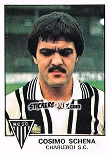 Cromo Cosimo Schena - Football Belgium 1977-1978 - Panini