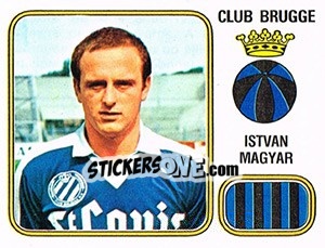 Figurina Istvan Magyar - Football Belgium 1980-1981 - Panini