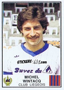 Figurina Michel Wintacq - Football Belgium 1981-1982 - Panini