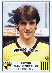 Figurina Erwin van den Bergh - Football Belgium 1981-1982 - Panini