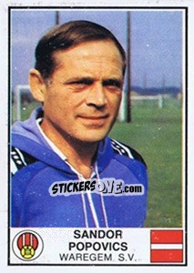 Cromo Sandor Popovics - Football Belgium 1981-1982 - Panini