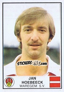 Cromo Jan Hoebeeck - Football Belgium 1981-1982 n. 309 - Panini