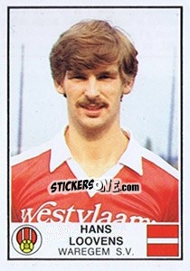 Cromo Hans Loovens - Football Belgium 1981-1982 n. 310 - Panini