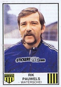 Cromo Rik Pauwels - Football Belgium 1981-1982 - Panini