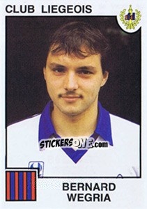 Sticker Bernard Wegria - Football Belgium 1984-1985 - Panini