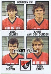 Cromo Ludo Geurts / Chris van de Dungen / Tony Geypen / Tony Fagot - Football Belgium 1984-1985 - Panini