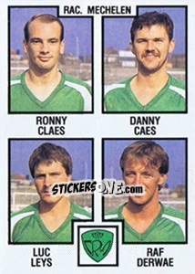 Sticker Ronny Claes / Danny Caes / Luc Leys / Raf Derwae - Football Belgium 1984-1985 - Panini