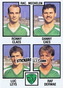 Sticker Ronny Claes / Danny Caes / Luc Leys / Raf Derwae - Football Belgium 1984-1985 n. 392 - Panini
