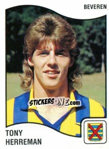 Sticker Tony Herreman - Football Belgium 1989-1990 - Panini
