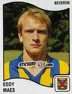 Sticker Eddy Maes - Football Belgium 1989-1990 - Panini