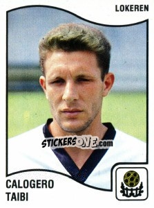 Sticker Calogero Taibi - Football Belgium 1989-1990 - Panini
