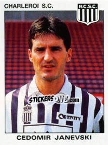 Sticker Cedomir Janevski - Football Belgium 1992-1993 - Panini