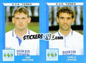 Cromo Wim Hertoge / Carlo Lavigne - Football Belgium 1999-2000 - Panini