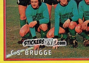 Sticker Team - Football Belgium 1974-1975 n. 106 - Panini