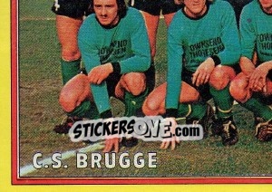 Sticker Team - Football Belgium 1974-1975 - Panini