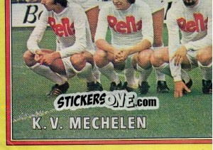 Figurina Team - Football Belgium 1974-1975 - Panini