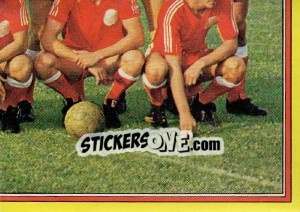 Figurina Team - Football Belgium 1974-1975 n. 260 - Panini