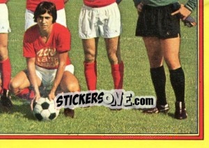 Sticker Team - Football Belgium 1974-1975 n. 294 - Panini