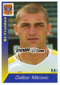 Figurina Dalibor Mitrovic - Football Belgium 2002-2003 - Panini