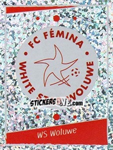Figurina Emblem - Football Belgium 2006-2007 n. 495 - Panini
