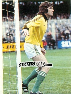 Cromo Pat Jennings