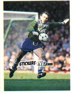 Sticker Neville Southall - The All-Time Greats 1920-1990 - Panini
