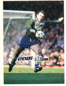 Figurina Neville Southall - The All-Time Greats 1920-1990 n. 66 - Panini