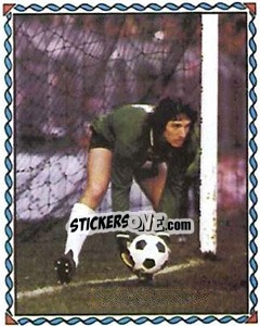 Sticker Ettori - Football France 1981-1982 n. 473 - Panini