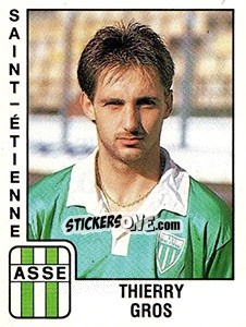 Cromo Thierry Gros - FOOT 1989-1990 n. 294 - Panini