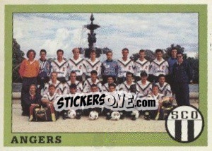 Figurina Team - FOOT 1993-1994 n. 53 - Panini