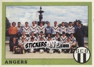 Sticker Team - FOOT 1993-1994 - Panini