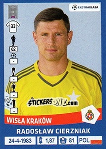 Sticker Radoslaw Cierzniak - Ekstraklasa 2015-2016 n. 315 - Panini