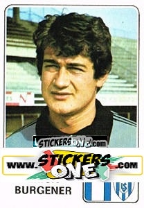 Cromo Erich Burgener - Football Switzerland 1978-1979 - Panini