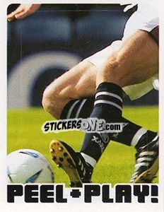 Figurina Peel & Play - Scottish Premier League 2004-2005 - Panini