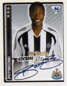 Sticker Ameobi - Premier League Inglese 2006-2007 n. 347 - Merlin