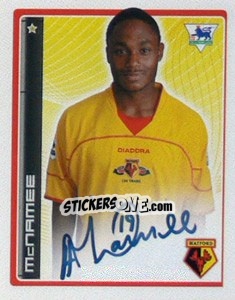 Cromo Anthony McNamee - Premier League Inglese 2006-2007 - Merlin