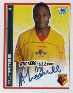 Figurina Anthony McNamee - Premier League Inglese 2006-2007 - Merlin