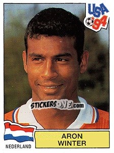 Sticker ARON WINTER - FIFA World Cup USA 1994 n. 426 - Panini